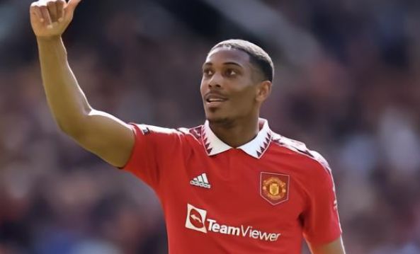 巴洛特利的 巴洛特利的